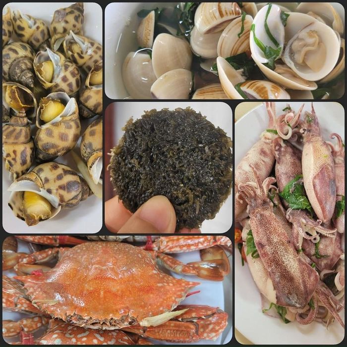 Hải hản tươi ngon là món ăn được nhiều du khách ưa thích