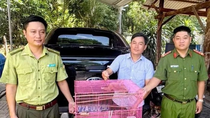 Con culi do người dân xã Hồ Tràm giao nộp. (Ảnh: Công an xã Hồ Tràm)