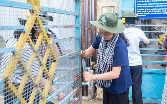 Đội thanh niên tình nguyện Trường Đại học Kinh tế - Đại học Đà Nẵng với công trình cải tạo cảnh quan trường THCS Đỗ Thúc Tịnh.