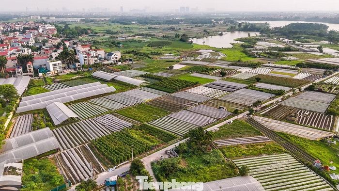 Dọc các trục đường chính, nhiều khu dân cư mới hình thành bên cạnh những xóm làng lâu đời. Đồng ruộng vẫn hiện diện giữa các khu dân cư, tạo nên bức tranh đan xen giữa nông thôn truyền thống và quá trình đô thị hóa.