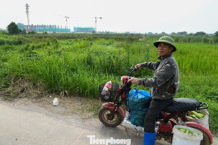 Theo quy hoạch, lợi thế về quỹ đất, vị trí cửa ngõ phía Bắc Thủ đô cùng hệ thống giao thông kết nối với sân bay Nội Bài và các khu vực lân cận sẽ tạo thêm dư địa để Phúc Thịnh phát triển đô thị, dịch vụ và logistics trong những năm tới.
