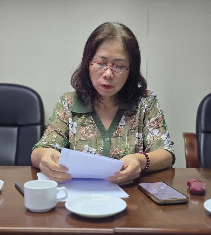 Bà Nguyễn Thị Ngọc Lan - Phó Trưởng ban Tư vấn - Phản biện Hội DKVN góp ý vào dự thảo Luật Điện lực (sửa đổi).