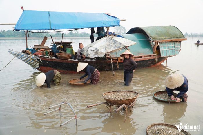 Công việc quen thuộc của những người phụ nữ ven sông La.