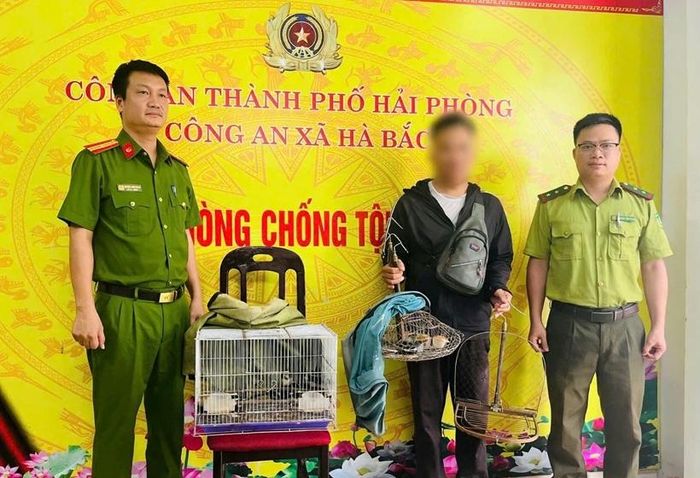 Công an xã Hà Bắc phát hiện N.V.N sử dụng lồng bẫy chim.