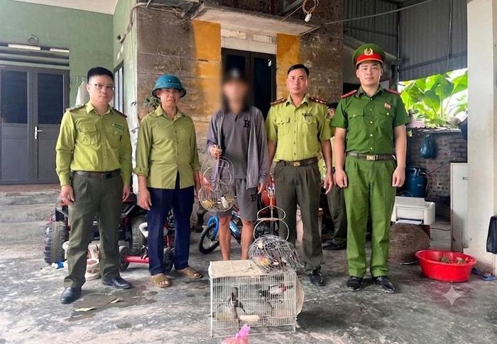 Lực lượng Công an xã Hà Nam kiểm tra, phát hiện 8 cá thể chim chào mào được nuôi nhốt không rõ nguồn gốc hợp pháp.