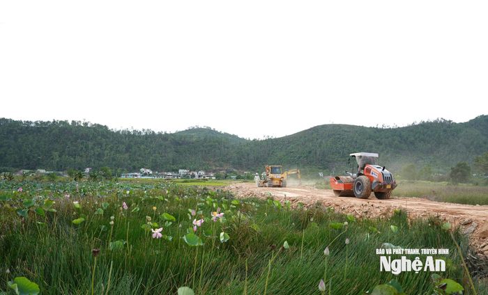 Cầu Đại Huệ sẽ thi công 33 trụ trên chiều dài hơn 1.400m. Ảnh: Nguyễn Toàn