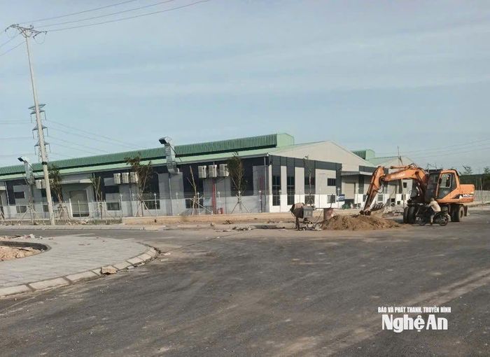 CCN xã Diễn Thắng do Công ty CP Tập đoàn Semec đầu tư hoàn thiện 85% hạ tầng kỹ thuật và có 3 doanh nghiệp đăng ký vào thuê đất. Ảnh: Nguyễn Hải
