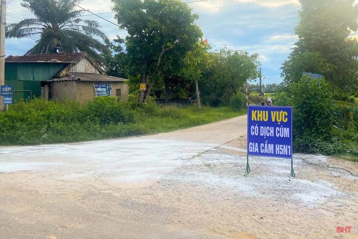 Các địa phương cần tổ chức rà soát, tiêm phòng bổ sung vắc-xin phòng bệnh cúm cho đàn gia cầm chưa được tiêm phòng đợt 1 năm 2026.