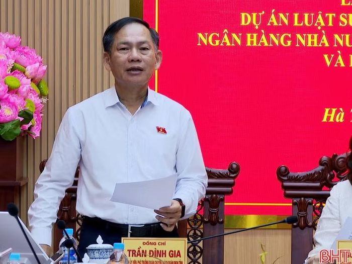 Đồng chí Trần Đình Gia - Phó trưởng Đoàn chuyên trách Đoàn ĐBQH tỉnh Hà Tĩnh kết luận hội nghị.