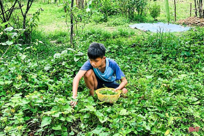 Em Nguyễn Thanh Hải phụ giúp mẹ việc nhà.