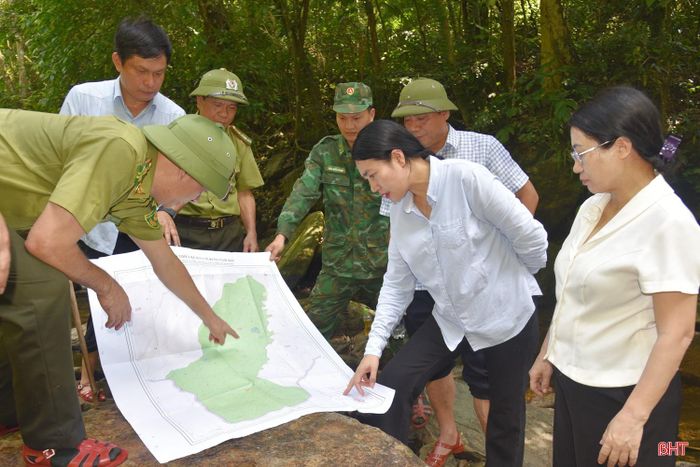 Đoàn khảo sát trao đổi những vị trí nhạy cảm, khó khăn trong công tác quản lý và BVR thuộc lâm phần do Ban Quản lý Rừng phòng hộ Hương Khê quản lý.