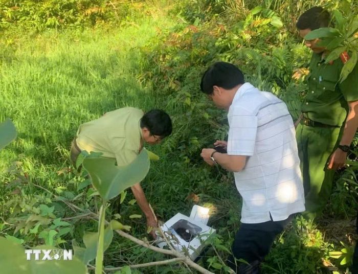 Cán bộ kiểm lâm phối hợp cơ quan chức năng thả nhiều động vật hoang dã quý hiếm về rừng đặc dụng Đèo Cả. (Ảnh: TTXVN phát)