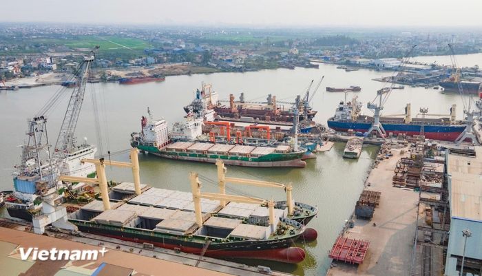 Các doanh nghiệp đóng tàu của Tổng công ty Công nghiệp tàu thủy đã đóng được hầu hết các gam tàu tổng hợp, tàu hàng rời, tàu dầu, tàu chở ôtô đến tàu điện gió ngoài khơi. (Ảnh: Việt Hùng/Vietnam+