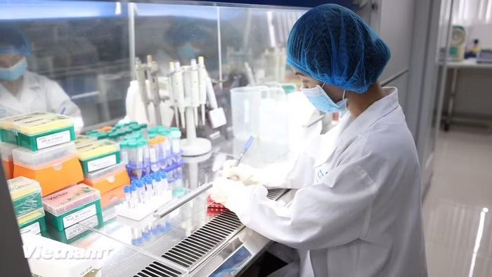 Các cán bộ của Trung tâm Giám định ADN chia sẻ, những lần gặp gỡ thân nhân liệt sĩ mang theo hy vọng tìm lại người thân luôn là động lực để chị và đồng nghiệp kiên trì theo đuổi công việc giám định ADN, góp phần xác định danh tính các liệt sĩ còn thiếu thông tin. (Ảnh: Dương Linh/Vietnam+)