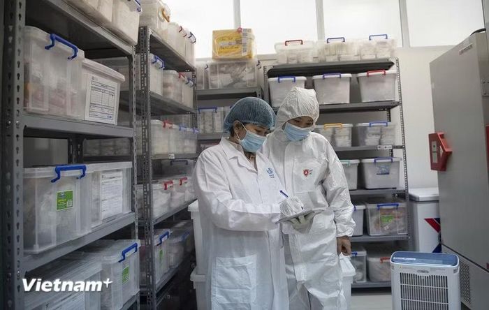 Các mẫu giám định được lưu trữ, bảo quản theo quy trình nghiêm ngặt trước, trong và sau quá trình phân tích nhằm bảo đảm chất lượng và độ tin cậy của kết quả. (Ảnh: Dương Linh/Vietnam+)
