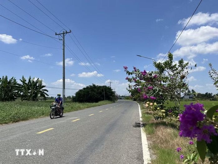 Con đường mang tên Anh hùng Lực lượng vũ trang nhân dân Huỳnh Văn Đảnh trên quê hương Tân Trụ. (Ảnh: Đức Hạnh/TTXVN)