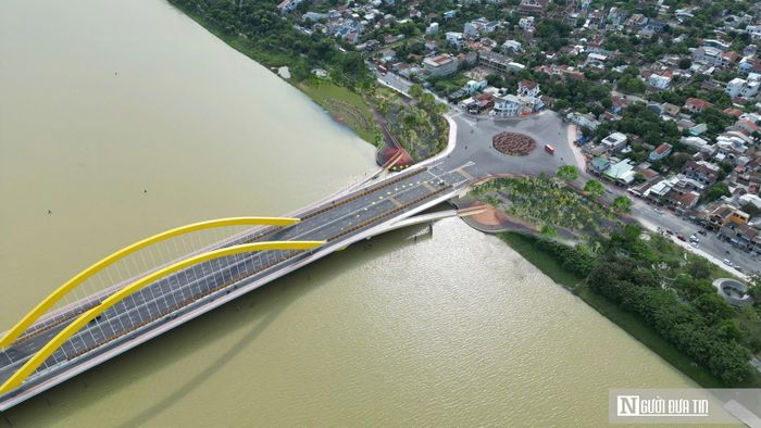 Phối cảnh công trình khi cây phát triển thành rừng.