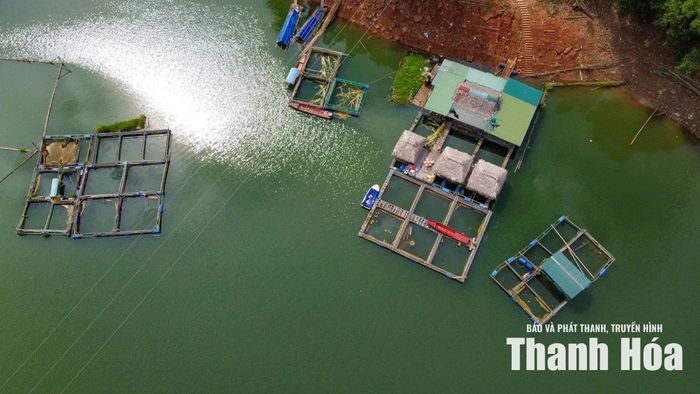 Chủ nhân của những khu lồng cá ấy từng là những gia đình khó khăn đã đẩy đưa họ xuống sinh sống nơi mặt hồ thủy điện Trung Sơn. Từng cụm lồng cá nổi lên như những “ô ruộng” giữa lòng hồ thủy điện giờ đây trở thành sinh kế của hàng chục hộ dân.