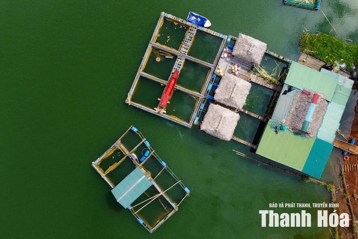 Xã Trung Sơn đã kiến nghị tỉnh tiếp tục hỗ trợ vốn, con giống, chuyển giao khoa học - kỹ thuật, xây dựng thương hiệu cá lồng và thu hút doanh nghiệp tham gia chuỗi sản xuất - tiêu thụ. Đây được xem là những giải pháp quan trọng để nghề nuôi cá lồng không chỉ dừng ở việc tạo sinh kế mà còn trở thành hướng phát triển kinh tế bền vững cho vùng lòng hồ Trung Sơn trong những năm tới.
