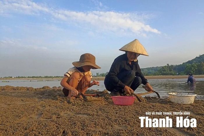 Lần đầu được trải nghiệm cào ngao, bé Nhật Khánh rất tò mò.