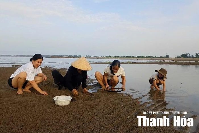 Khách du lịch trải nghiệm công việc cào ngao của người dân làng chài.