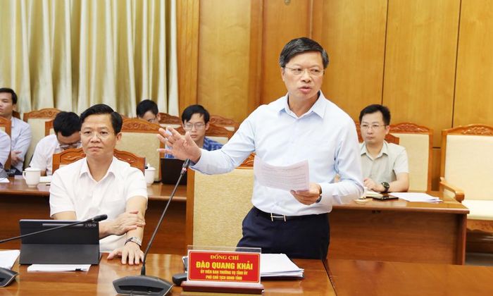 Phó Chủ tịch UBND tỉnh Đào Quang Khải phát biểu tại hội nghị. 