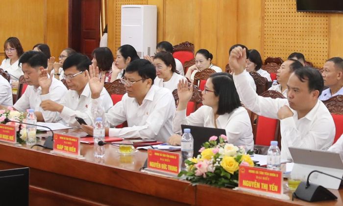 Đại biểu biểu quyết thông qua các nghị quyết.