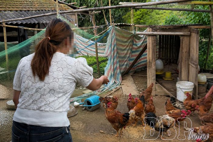 Nhờ được các cấp Hội LHPN tỉnh động viên, giúp đỡ, chị S.T.C đã trở lại cuộc sống đời thường.