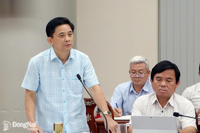 Chủ tịch UBND xã Bình An Dương Văn Nhân phát biểu tại buổi làm việc. Ảnh: Phạm Tùng
