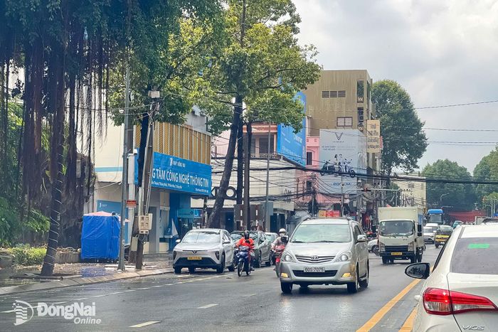 Mưa rào xuất hiện trên đường Võ Thị Sáu, phường Trấn Biên. Ảnh: Kim Liễu