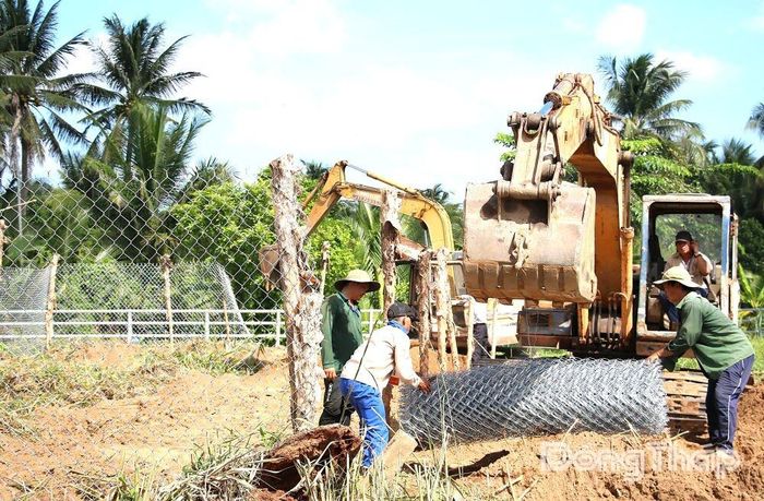 Tiến hành cưỡng chế thu hồi đất theo quy định.