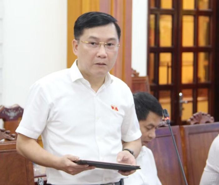  Ủy viên là ĐBQH hoạt động chuyên trách tại Ủy ban Kinh tế và Tài chính của Quốc hội Lê Hoàng Anh đề nghị làm rõ một số vấn đề trong quá trình tổ chức thi hành Luật Đất đai 2024 tại Gia Lai. Ảnh: Trọng Lợi 