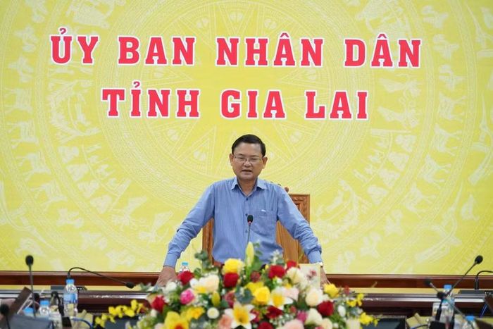 Phó Chủ tịch UBND tỉnh Nguyễn Tự Công Hoàng phát biểu tại buổi làm việc. Ảnh: N.H