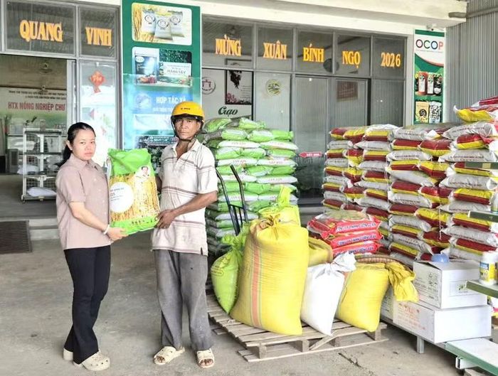 Hợp tác xã Nông nghiệp Chư A Thai cung cấp lúa giống chất lượng cao để người dân sản xuất. Ảnh: H.T