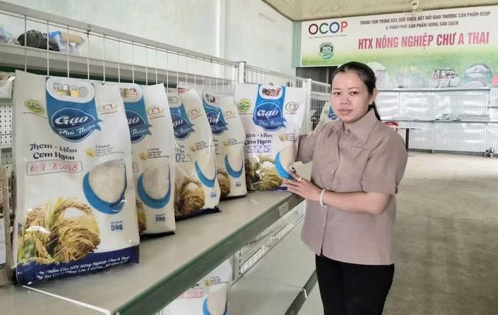 Các sản phẩm gạo đạt chứng nhận OCOP của Hợp tác xã Nông nghiệp Chư A Thai. Ảnh: H.T
