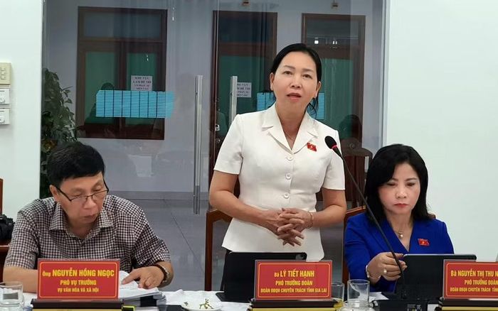 Phó Trưởng đoàn chuyên trách Đoàn đại biểu Quốc hội tỉnh Lý Tiết Hạnh tham gia ý kiến tại buổi làm việc. Ảnh: Kim Hường