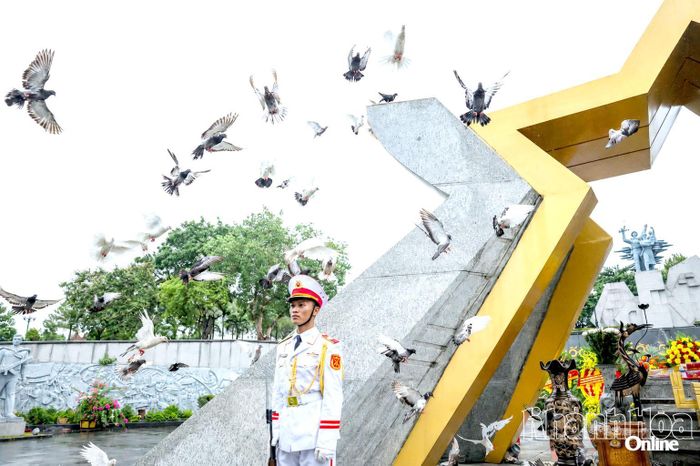 Đàn bồ câu tung cánh ở Nghĩa trang liệt sĩ quốc gia Đường 9. Ảnh: Nguyễn Khánh