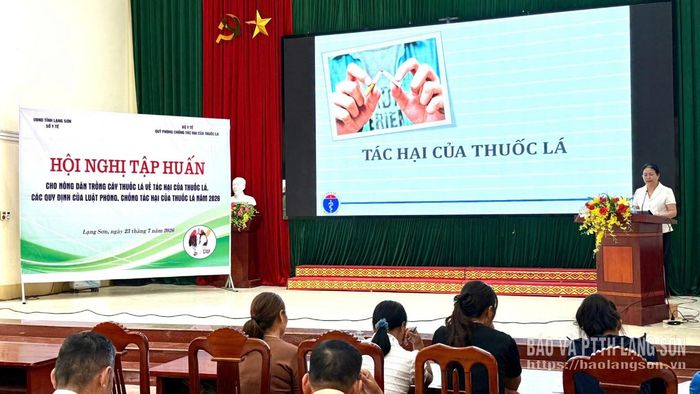 Chuyên viên phòng An toàn thực phẩm, Sở Y tế tuyên truyền về tác hại của thuốc lá