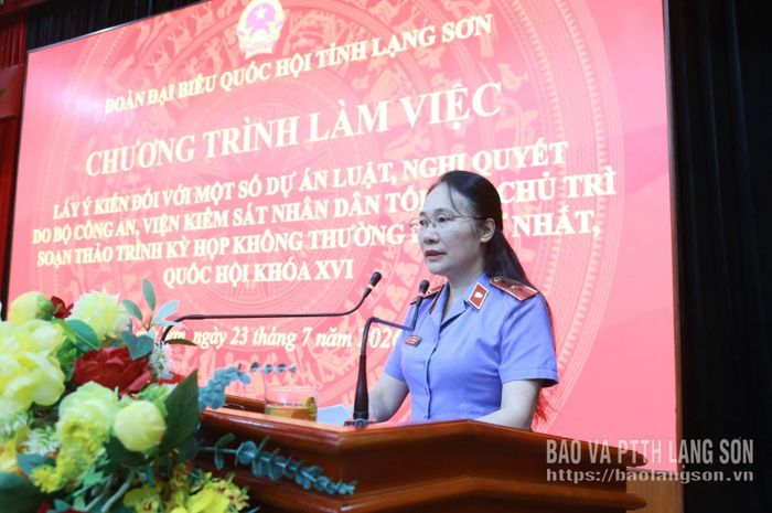 Lãnh đạo Viện KSND tỉnh trình bày báo cáo tổng kết thực tiễn thi hành Bộ luật Tố tụng Hình sự