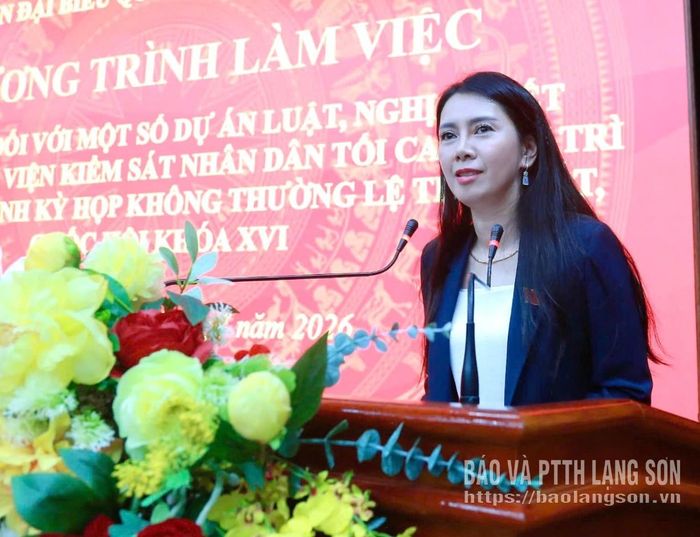 Đồng chí Đoàn Thu Hà, Phó Bí thư Tỉnh ủy, Trưởng Đoàn ĐBQH tỉnh phát biểu kết luận chương trình làm việc