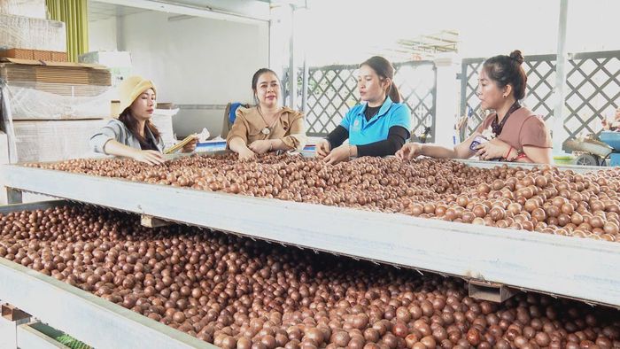 Nhiều nông sản của xã Tân Hà Lâm Hà đạt chuẩn OCOP
