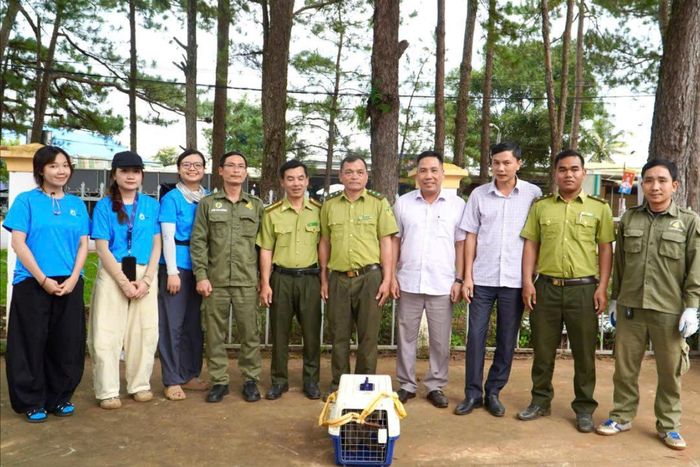 UBND xã Trường Xuân và Hạt Kiểm lâm Nam Nung bàn giao cá thể khỉ đuôi lợn cho Trung tâm Tuyên truyền, Du lịch và Cứu hộ bảo tồn (Ban Quản lý Vườn Quốc gia Bù Gia Mập)