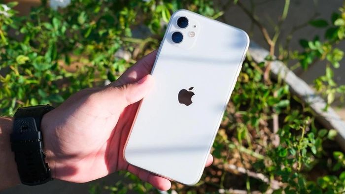 Thiết kế iPhone 11.