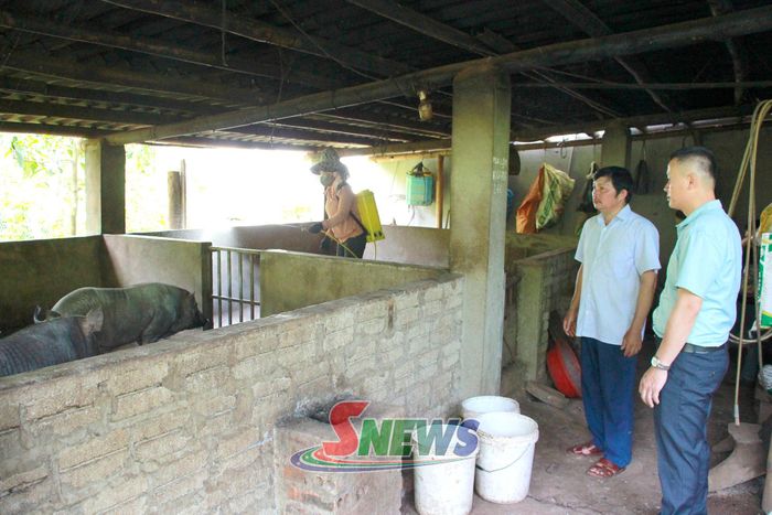 Cán bộ phường Chiềng Cơi cùng Ban quản lý bản Nẹ hướng dẫn nhân dân phun khử trùng chuồng trại.