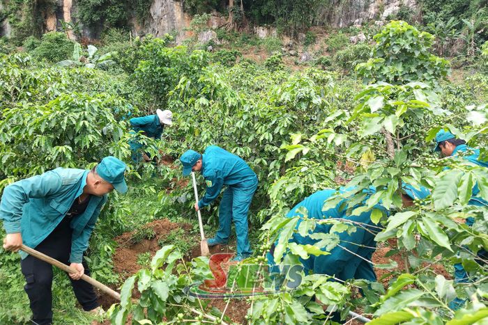 Tìm kiếm mộ liệt sĩ tại xã Chiềng Mai.