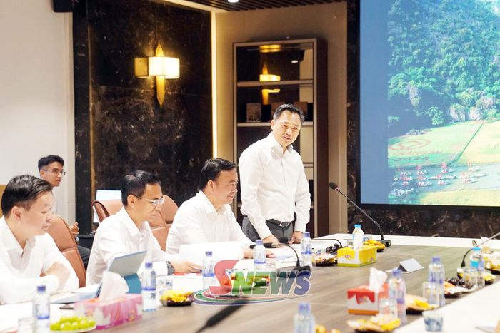 Đồng chí Nguyễn Đình Việt, Chủ tịch UBND tỉnh, phát biểu tại cuộc làm việc.