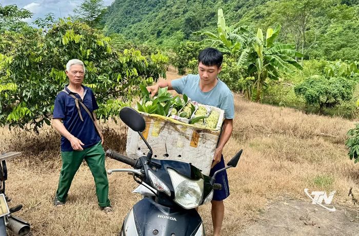 Đưa na về "phố".