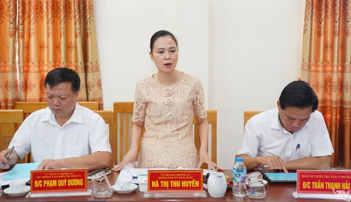 Đại biểu phát biểu tại buổi làm việc.