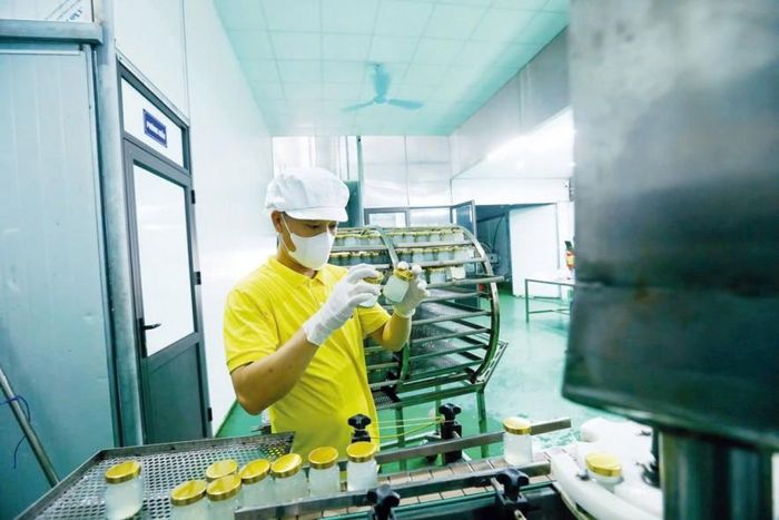 Dự thảo Luật Hỗ trợ doanh nghiệp nhỏ và vừa (sửa đổi) phải tháo gỡ rào cản tài sản thế chấp giúp khơi thông dòng vốn tín dụng. Ảnh: An Thư