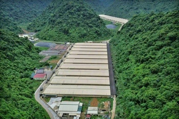 Trang trại lợn Dabaco tại xã Thạch Quảng, tỉnh Thanh Hóa.